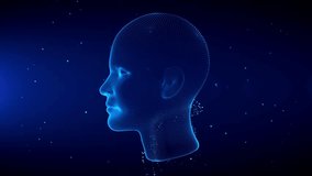 Blue Shine Human Female Head Anatomy Wireframe Hologram Scanning Effects With Light Flare Glitter Particles 3d Rotating Motion View, Last 20 Seconds Seamless Loop - Powered by Shutterstock - Get 15% off with code: PIKWIZARD15