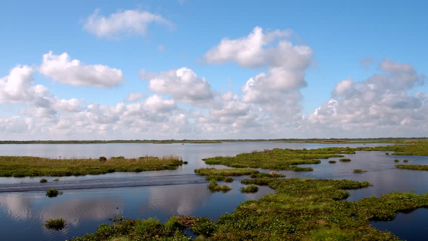 Aerial Panning Beautiful View Of Moss In Tranquil River Under Cloudy Sky - Bayou, Louisiana