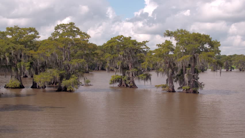 Aerial: Drone Panning Growth Of Green Trees In Rippled River Against Cloudy Sky - Bayou, Louisiana