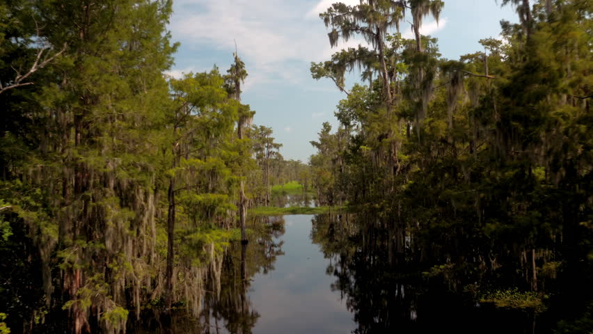 Aerial Ascending Shot Of River Stream With Trees, Drone Flying Forward Over Green Landscape - Bayou, Louisiana