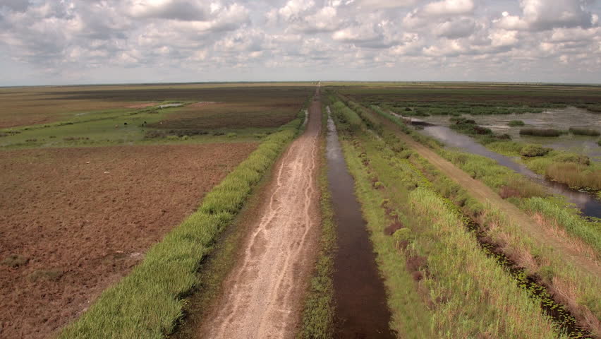 Aerial Tilt Down Beautiful View Of Meadow On Sunny Day - Bayou, Louisiana