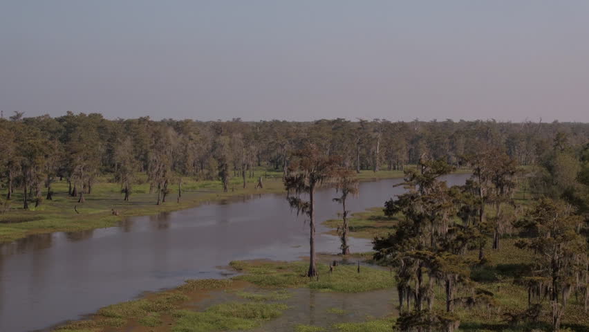 Aerial Panning Scenic View Of River In Forest, Drone Flying Forward Over Green Trees On Sunny Day - Bayou, Louisiana