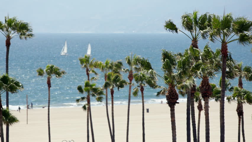 Long lens shot of Venice Beach with blue sky, palm trees, ocean and sailboats in the distance.