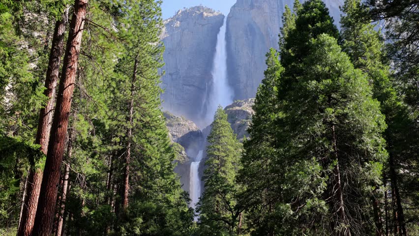 Yosemite Falls seen through the trees at Yosemite National Park in California.