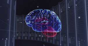 Animation of human brain over computer servers. Global cloud computing, digital interface and data processing concept digitally generated video.