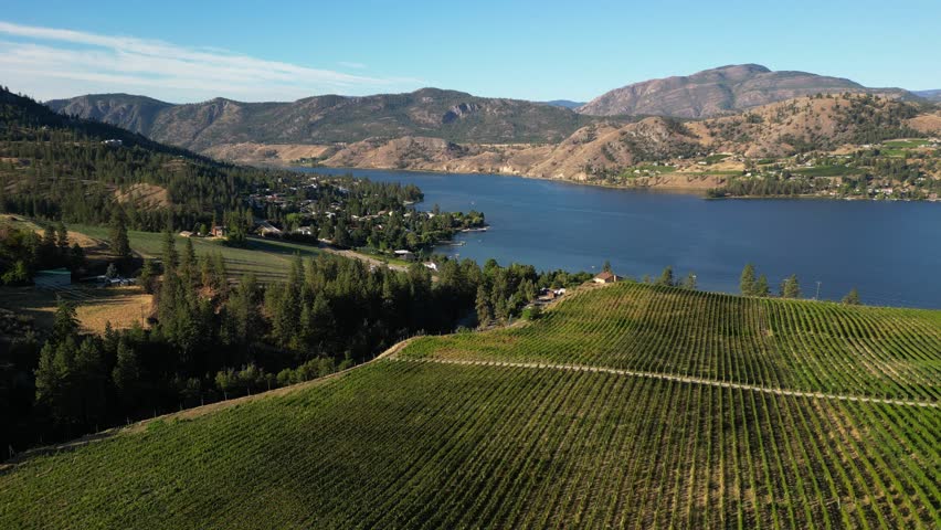 Drone aerial view  of Canadian landscape of an organic winery vineyard and Skaha Lake located in the Okanagan Valley in Penticton, British Columbia, Canada.