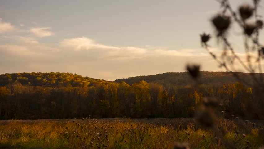 Autumn timelapse in nature with clouds passing by with plant in foreground
