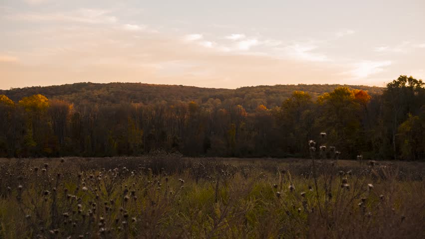 Autumn timelapse in nature with clouds passing by