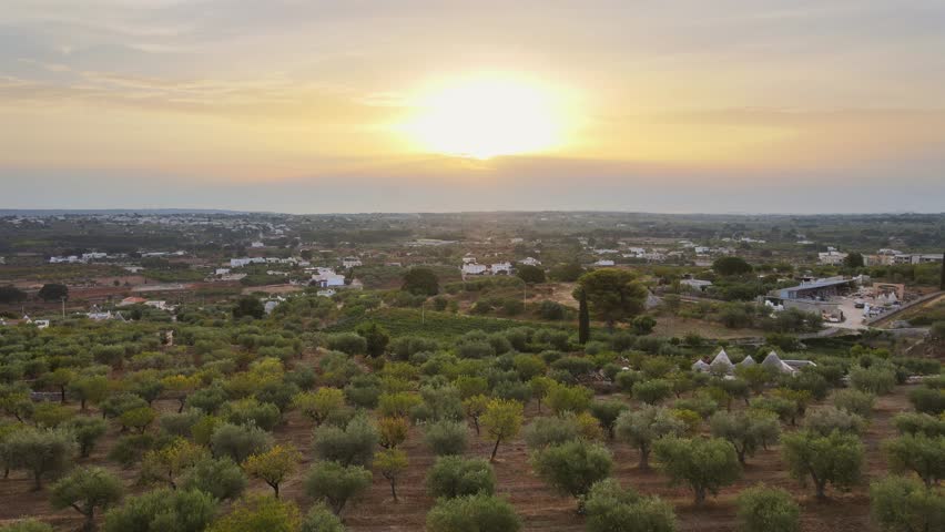 Aerial landscape view of a rural village with white buildings, surrounded by olive trees, in the italian countryside, at sunset