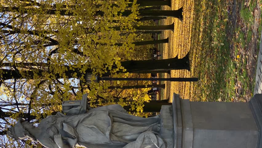 Leaves falling in Ogrod Saski park in Warsaw in autumn. Vertical video