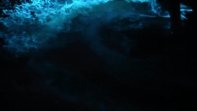 bioluminescence in the water of oman  - Powered by Shutterstock - Get 15% off with code: PIKWIZARD15