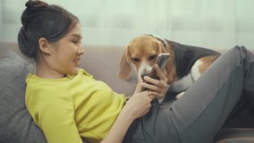 Young woman is enjoying quality time with her dog in the living room. Lifestyle and Happiness concept.