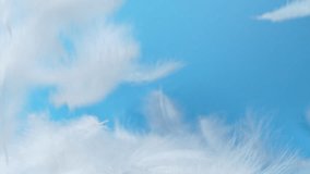 Slow motion white fluffy feathers falling and flying on chroma key background - Powered by Shutterstock - Get 15% off with code: PIKWIZARD15