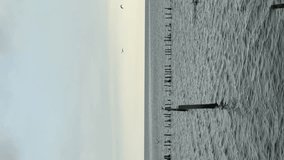 Vertical 4k video of beautiful calm and peaceful view estuary sea front with birds flying around in Samut Sakhon, Thailand.