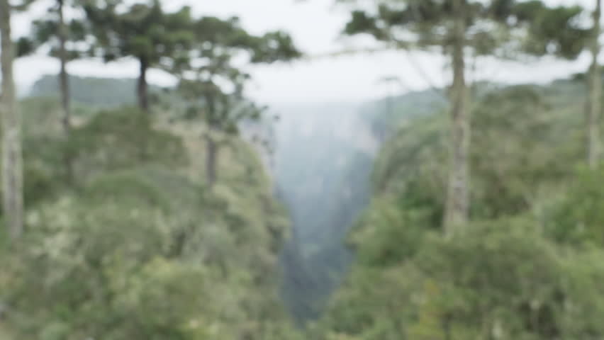 Itaimbezinho canyon at the Aparados da Serra National Park, located in the Serra Geral range of Rio Grande do Sul and Santa Catarina between coastal forests, grasslands and Araucaria moist forests.