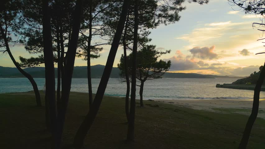 Silhouetted Trees At The Seacoast Of Corme During Sunrise In Ponteceso, Coruna, Galicia, Spain. Wide Shot