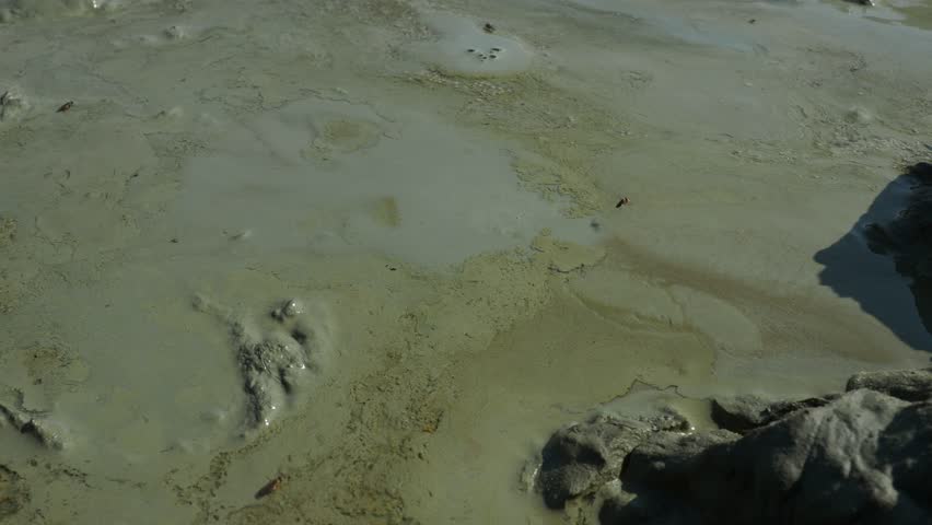 Mud volcano, mud dome is a landform created by the eruption of mud or slurries, water and gases. Several geological processes. Air or gas bubbles burst on the surface of the therapeutic clay. Temryuk Royalty-Free Stock Footage #1110973391