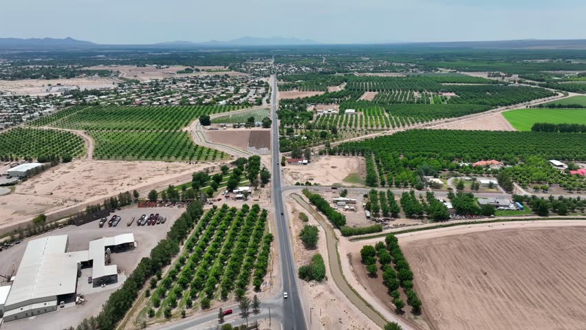 Pecan orchards in Las Cruces, New Mexico. High aerial truck shot.