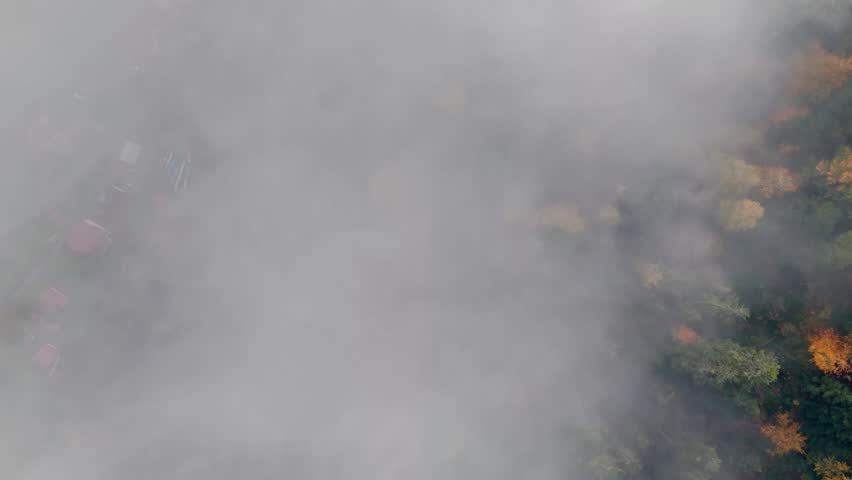 Aerial top down view over vibrant automnal mountain forest seen through clouds, 4K