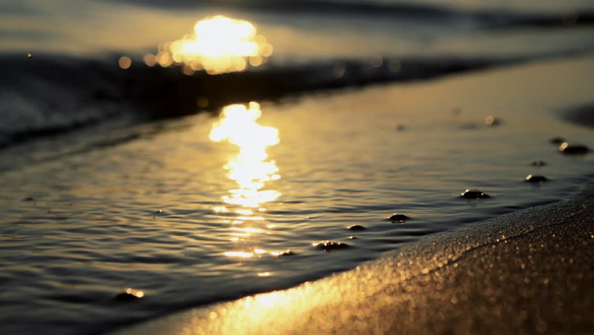 Close-up foam sea water waving on sand beach surrounded by natural evening sunset sunlight amazing view of summer coast enjoying warm ocean wave and seascape