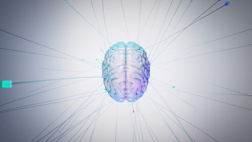 Digital Human Brain with Neural Network Connections. Synapses and neural pathways. Symbolizing AI, cognition, and neuroscience. Ideal for medical presentations, human biology and AI integration | Shutterstock HD Video #1110987873