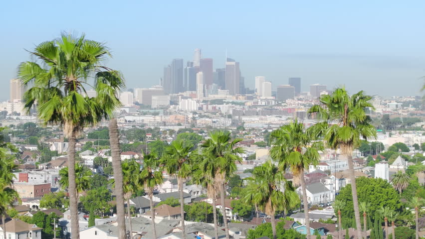 Los Angeles, CA, USA, April 11, 2023: Drone flying back between green palm trees on scenic morning. Aerial modern skyscraper buildings with palms on foreground with blue sky USA.