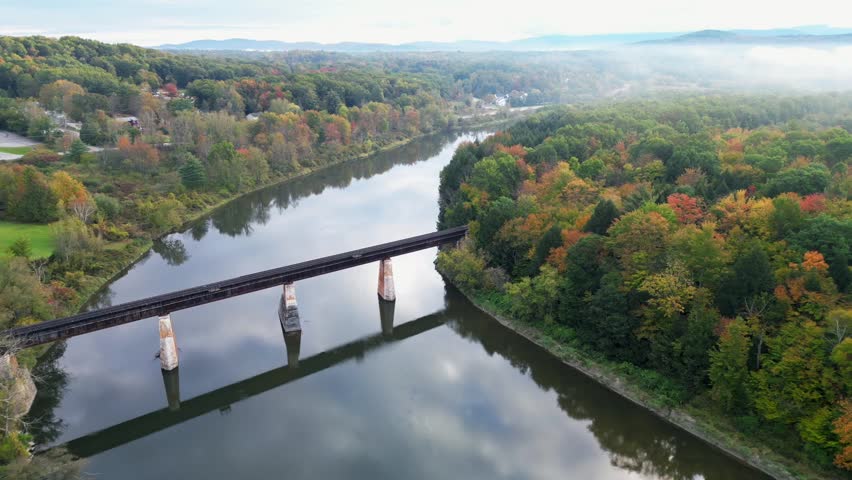 Flying over treetops with yellow leaves on sunny autumn day. Forest wood woodland. Many trees with tree crown. Red sun glare. View from above, top view. Aerial drone view. Beautiful natural background