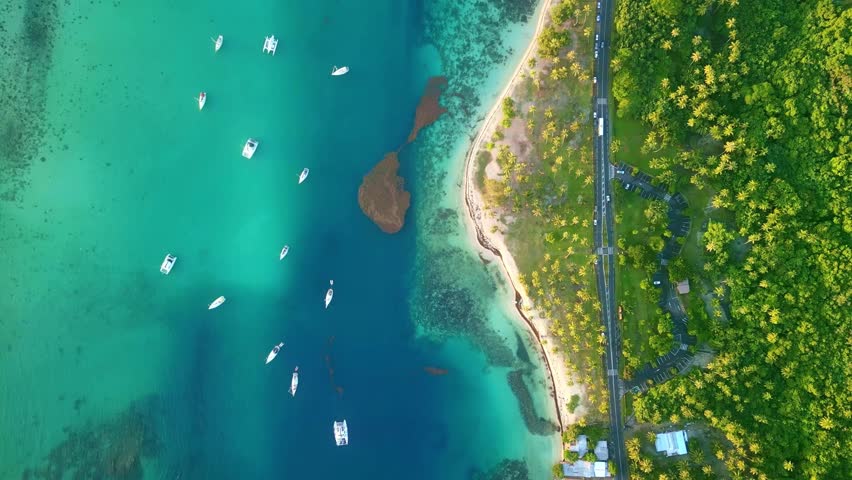 Drone aerial Tahiti. Moorea tropical beach landscape. French Polynesia. Exotic paradise travel vacation getaway, romantic honeymoon destination. Royalty-Free Stock Footage #1111006073