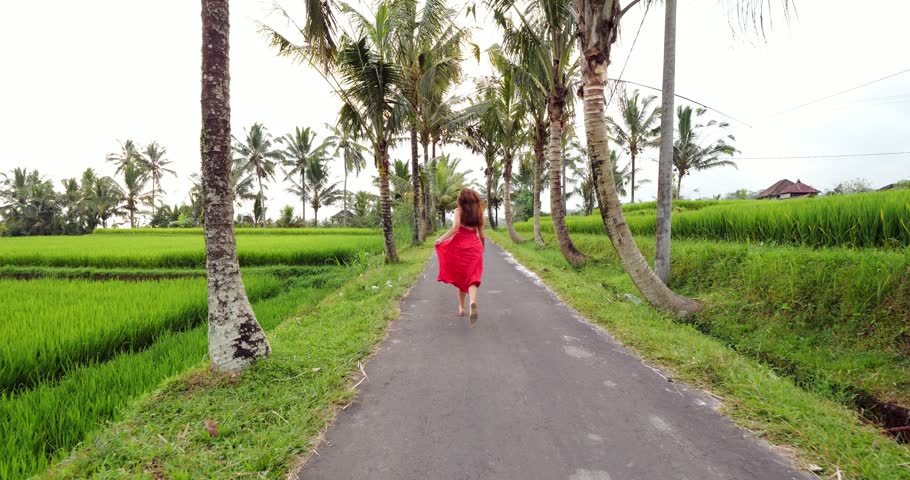 Young, joyful woman in vibrant red dress playfully runs along picturesque alley framed by curved coconut trunks, with verdant rice fields stretching alongside in breathtaking Bali countryside Royalty-Free Stock Footage #1111007493