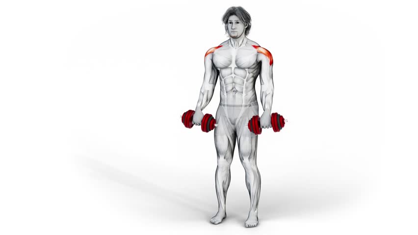 573 Shoulder Rotation Exercises Stock Video Footage - 4K and HD Video ...