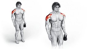 Shoulders- Kettlebell Long Lever Lateral Raise-3D (232)-
Anatomy of fitness and bodybuilding with distinct active muscles-
150 frame Animation + 150 frame Alpha Matte