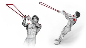 Shoulders- TRX Rear Delt Fly-3D (238)-
Anatomy of fitness and bodybuilding with distinct active muscles-
150 frame Animation + 150 frame Alpha Matte