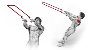 Shoulders- TRX W Raise-3D (240)-
Anatomy of fitness and bodybuilding with distinct active muscles-
150 frame Animation + 150 frame Alpha Matte