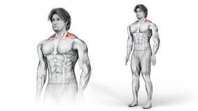 Traps Stretch Variation Two-3D (255)-
Anatomy of fitness and bodybuilding with distinct active muscles-
150 frame Animation + 150 frame Alpha Matte