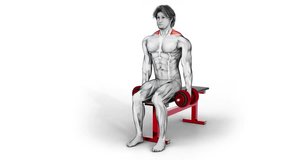Traps - Dumbbell Seated Shrug-3D (268)-
Anatomy of fitness and bodybuilding with distinct active muscles-
150 frame Animation + 150 frame Alpha Matte