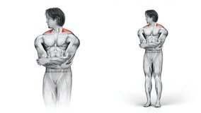 Traps - Yoga- Half Neck Rolls-3D (283)-
Anatomy of fitness and bodybuilding with distinct active muscles-
150 frame Animation + 150 frame Alpha Matte