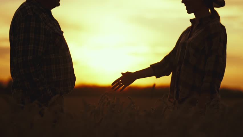 Close up of dark silhouette of handshake of two hands of friends or farmers or businessmen and wheat ears in field on back of sunset. Concept cooperation, deal, greeting, meeting, gesticulation. Royalty-Free Stock Footage #1111010395
