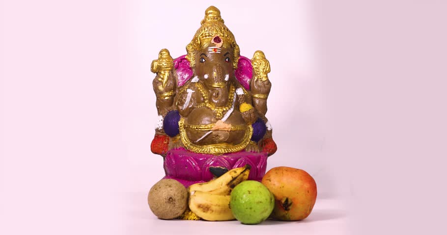 Ganesha Chaturthi festival is celebrated with Ganesha sculpture of Hindu god Ganesha and fruits on white background by sprinkling flowers on Ganesha sculpture. Royalty-Free Stock Footage #1111011279