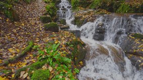 Beautiful fast flowing waterfall in Badger, Shropshire, UK with autumn coloured leaves