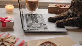 Cat using a Computer Laptop. Fluffy Feline Paws Typing on a Keyboard, Scrolling Swiping and Tapping Touchpad. Animal making online purchases. Holiday shopping, gift. Christmas decoration. Winter sales