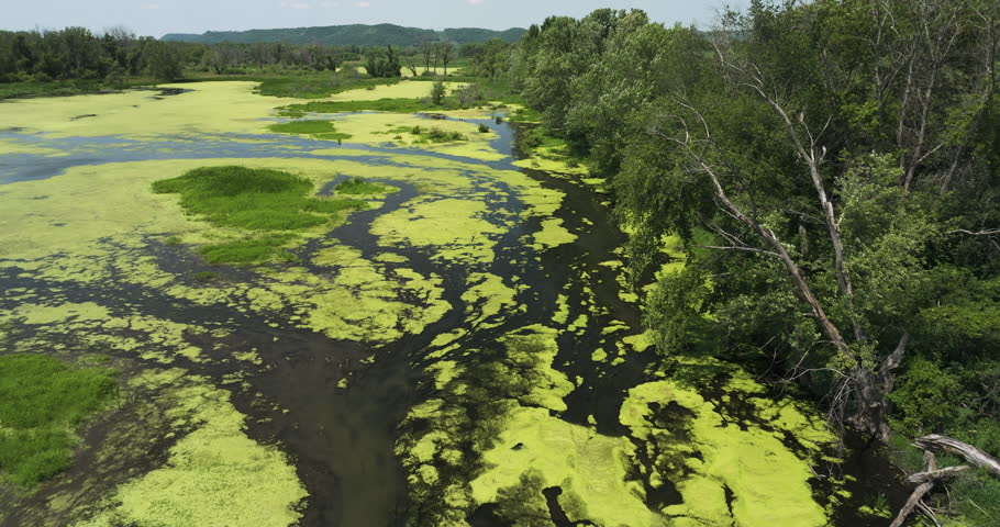 Wetlands With Green Algae In Trempealeau National Wildlife Refuge In Wisconsin, USA - drone shot