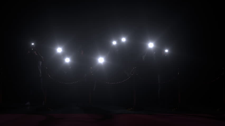 Paparazzi using flash photography at red carpet event.Lots of Paparazzi Photographers flash loop. Multiple camera flash lights with flashes,flares sparkle on black background.Effects animation Royalty-Free Stock Footage #1111023333