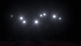 Paparazzi using flash photography at red carpet event.Lots of Paparazzi Photographers flash loop. Multiple camera flash lights with flashes,flares sparkle on black background.Effects animation - Powered by Shutterstock - Get 15% off with code: PIKWIZARD15