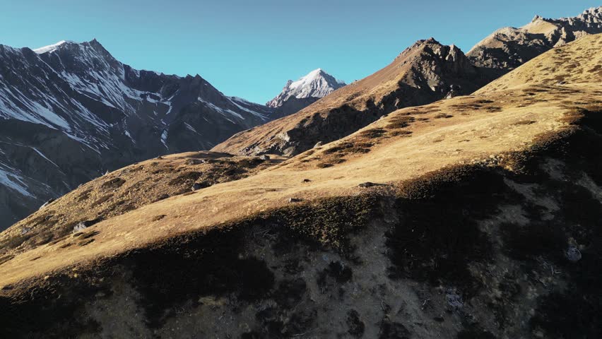 Flying over mountainous landscape in Tibet snow covered scenery in distance, blue sky aerial	