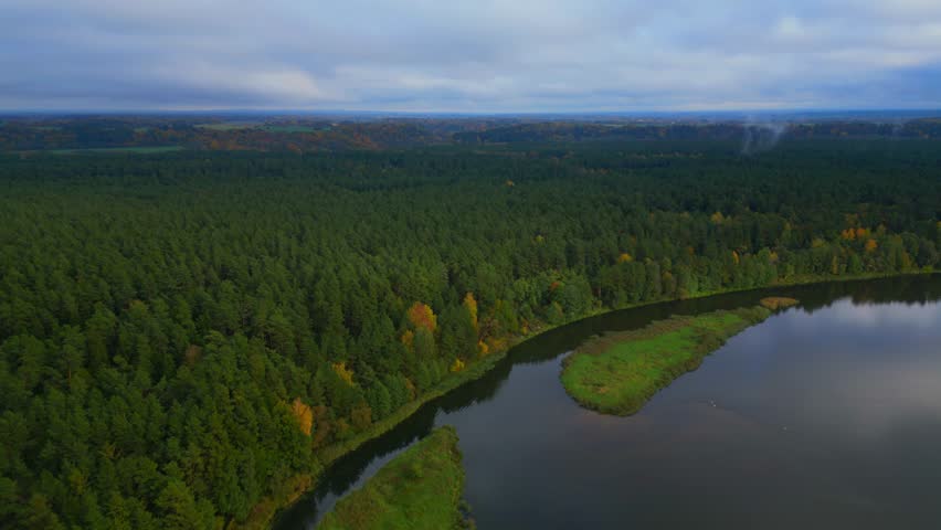 Beautiful pine trees during autumn next to lake peaceful landscape aerial