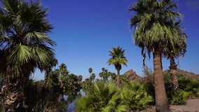 Papago Park in Phoenix Arizona, America, USA. The park features uniques mountains, palm trees and several pond for wildlife and fishing.