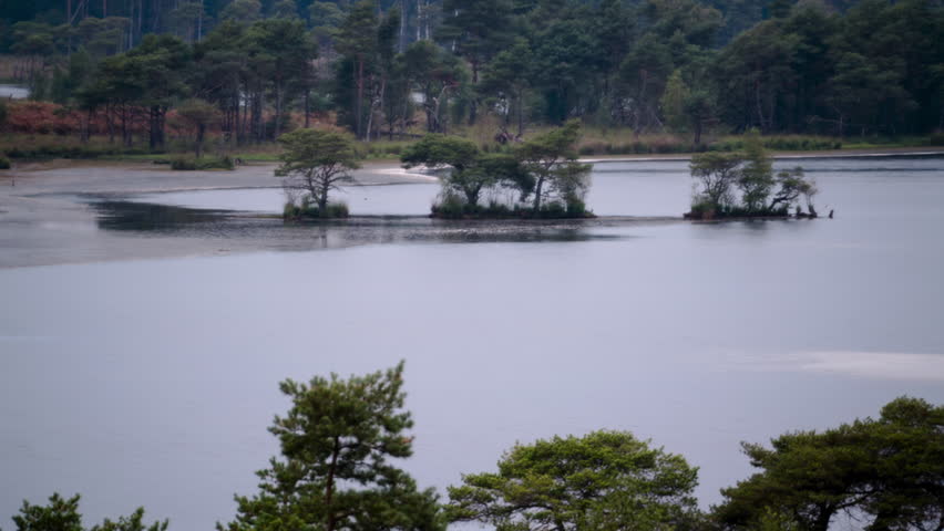Day to night time lapse of swampy landscape of Belgium