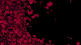 Red Rose Petals Transition on Alpha channel. 3D Rendering. Transition of red rose petal place on footage or background and easier to adjust colour. - Powered by Shutterstock - Get 15% off with code: PIKWIZARD15