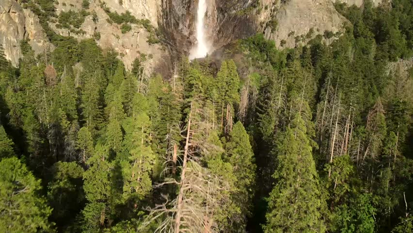 Landscape, drone, aerial, and cinematic views of The Mariposa Grove of Giant Sequoia Trees and Bridalveil Falls in Yosemite National Park.