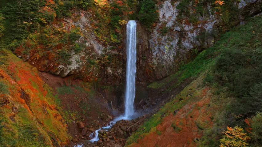 scenic waterfall in colourful fall forest, autumn hiking in Japanese mountains, aerial drone shot of a waterfall in autumn woods. High quality 4k footage